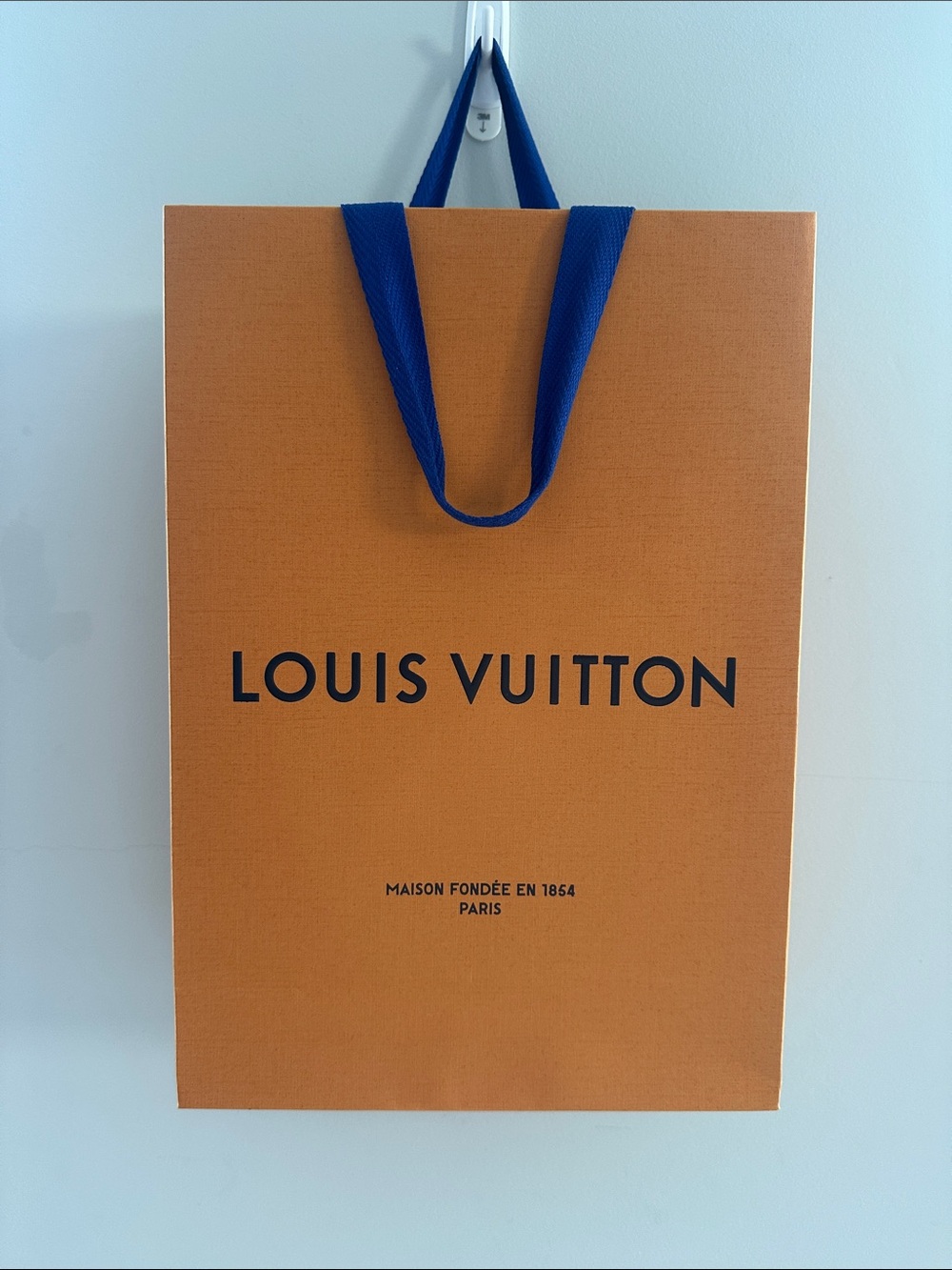 Louis Vuitton Gift Bag